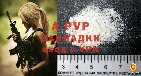 МДПВ Каменка