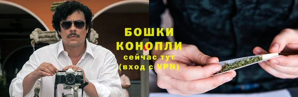 МДПВ Каменка