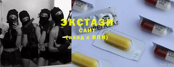МДПВ Каменка