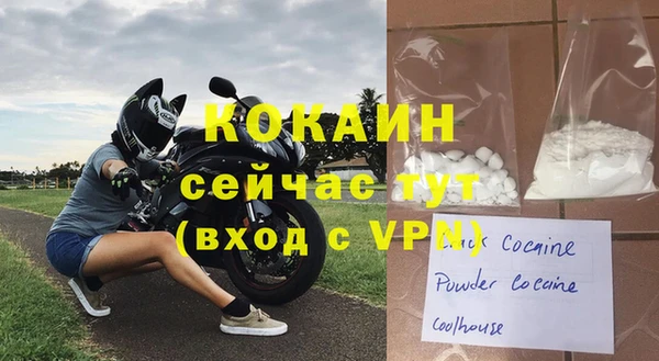 МДПВ Каменка