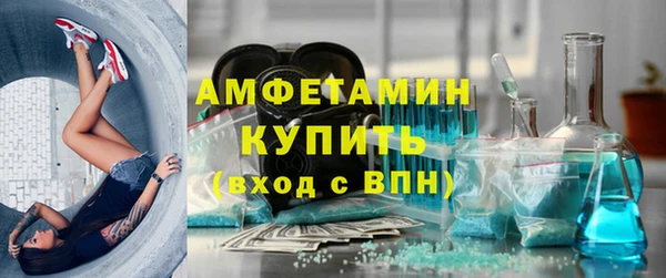 МДПВ Каменка