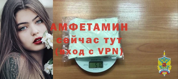 МДПВ Каменка