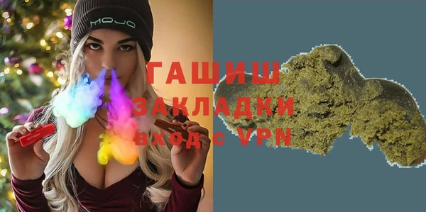 МДПВ Каменка