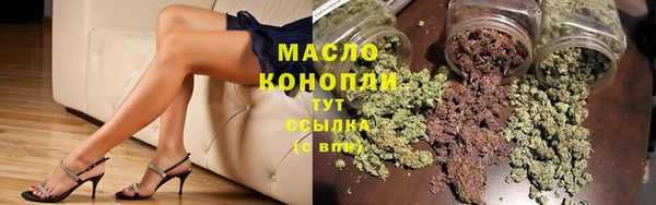 МДПВ Каменка