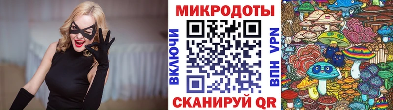 Купить  Ахтубинск  Галлюциногенные грибы Psilocybe 